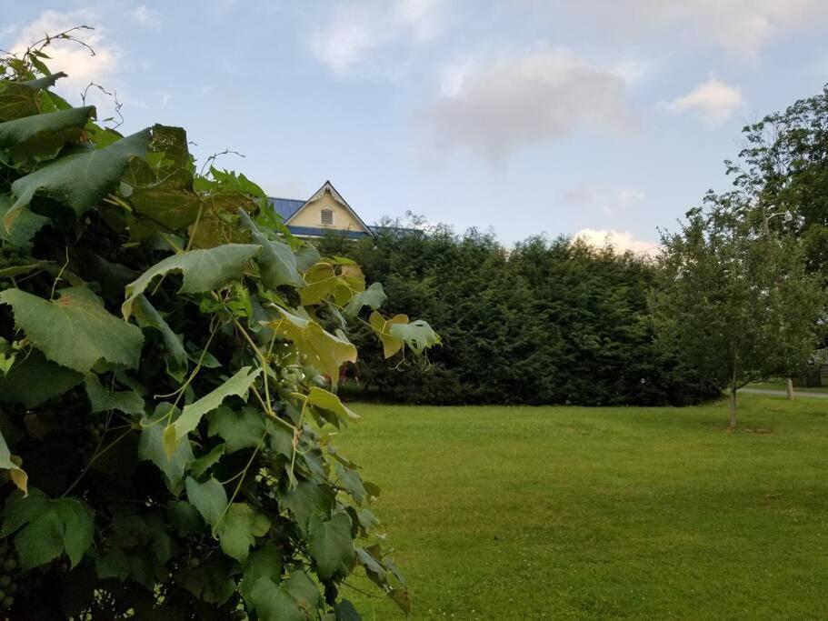 Basecampwv-Durbin. Spacious 4 Bedroom House W/Yard Ngoại thất bức ảnh